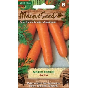 Mrkev pozdní Darina - Daucus carota L.