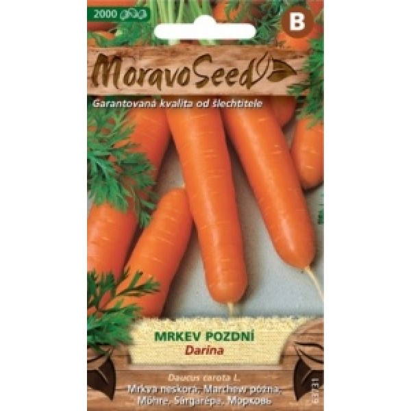 Mrkev pozdní Darina - Daucus carota L.