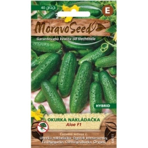 Okurka nakládačka Aloe F1 - Cucumis sativus L.