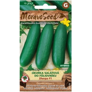 Okurka salátová Sherpa F1 - Cucumis sativus L.
