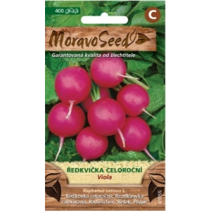 Ředkvička celoročná Viola - Raphanus sativus L.