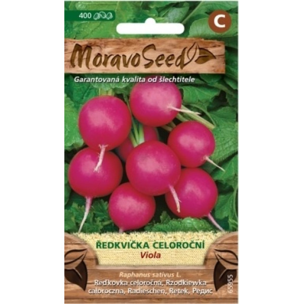 Ředkvička celoročná Viola - Raphanus sativus L.