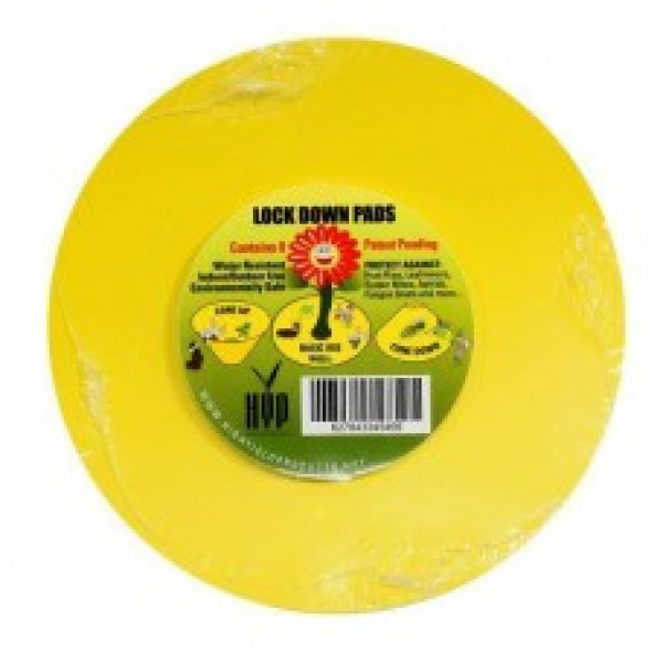 Kulaté desky lepové žluté Lock down pads, 15 cm, 8 ks