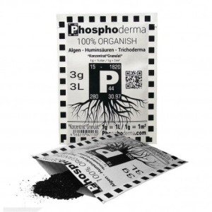 Phosphoderma, 3g